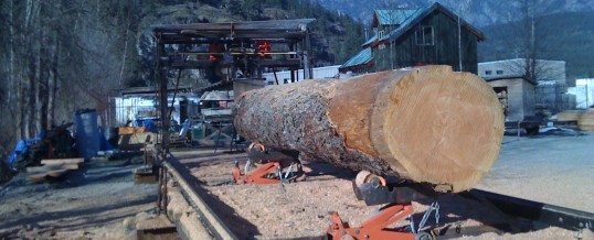 Custom mini sawmill