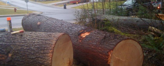 Squamish yard salvage