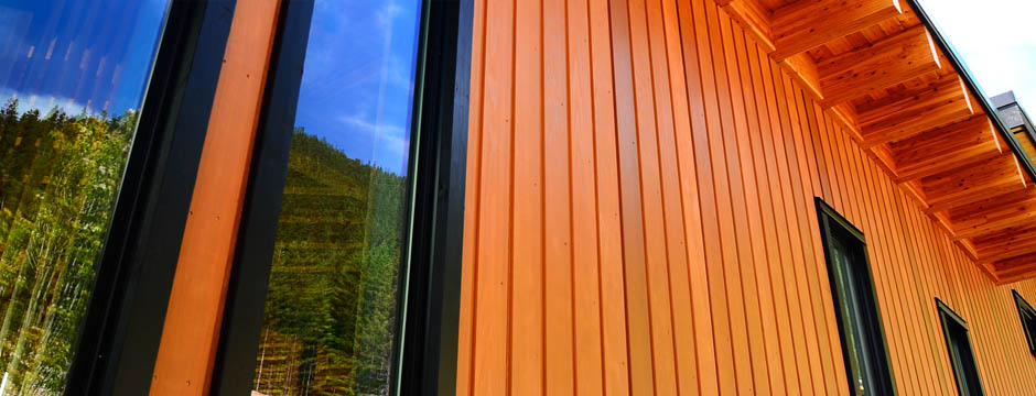 Cedar siding detail